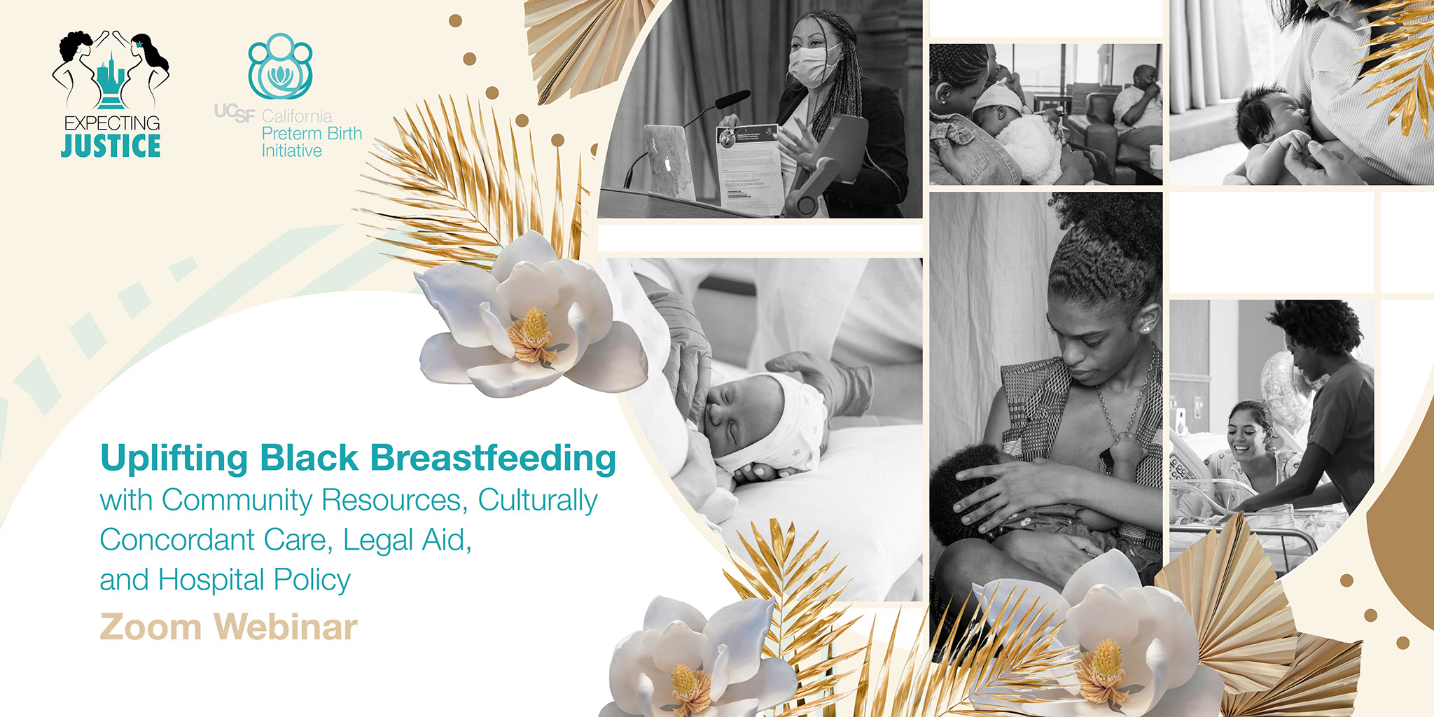 Flyer for zoom webinar about breastfeeding. A collage of different mothers breastfeeding babies.